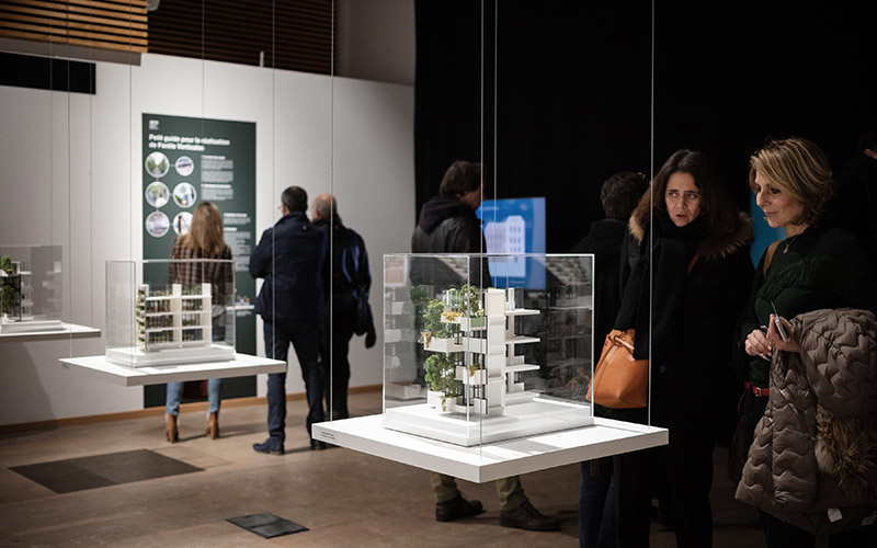 Forêts verticales et métropoles biodiverses - Lyon 1